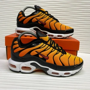 Кроссовки Nike Air Max TN Plus Sunset